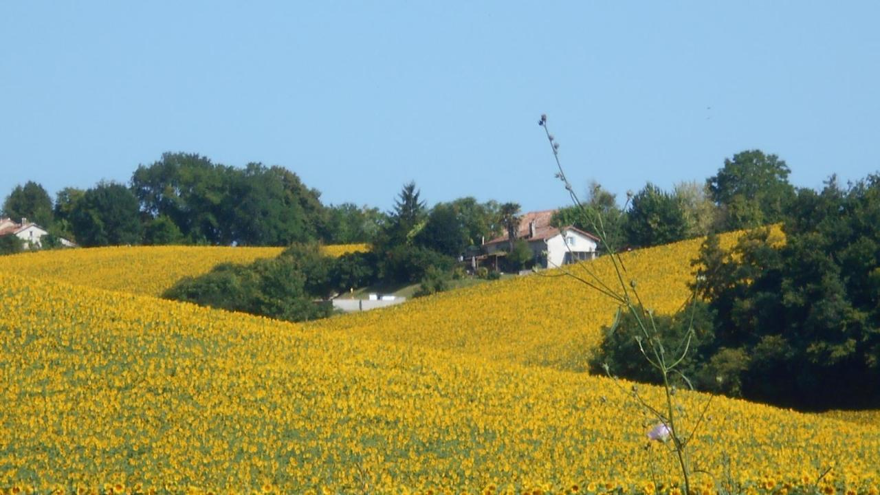 Villa La Tranquillité, Le Repos Nanteuil-Auriac-de-Bourzac Exterior foto